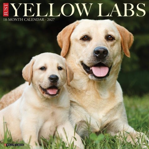 Yellow Labs 2027 Wall