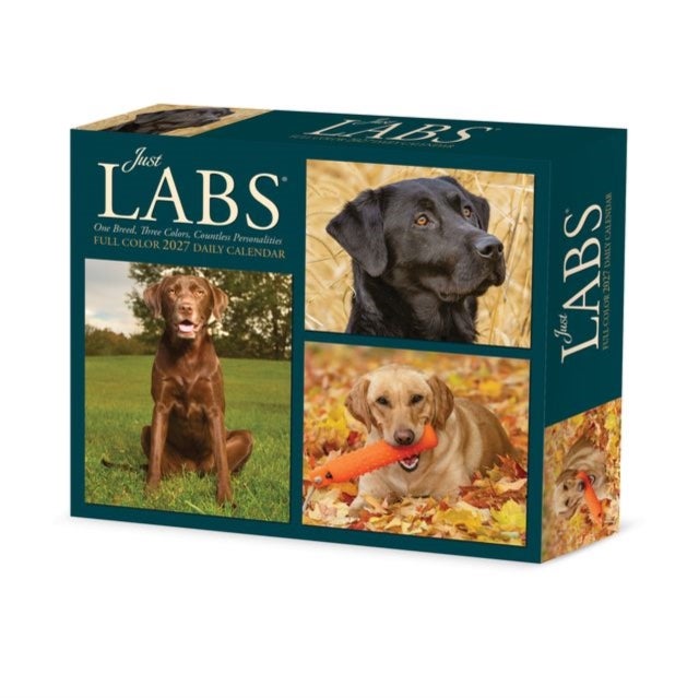 Labs 2027 Box