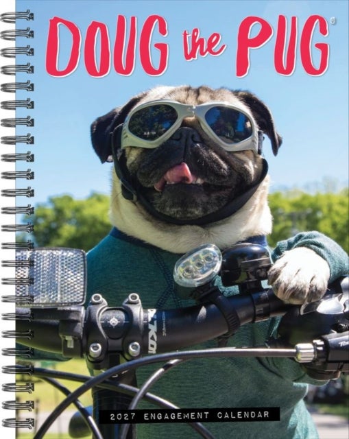 Doug the Pug 2027 Engagement