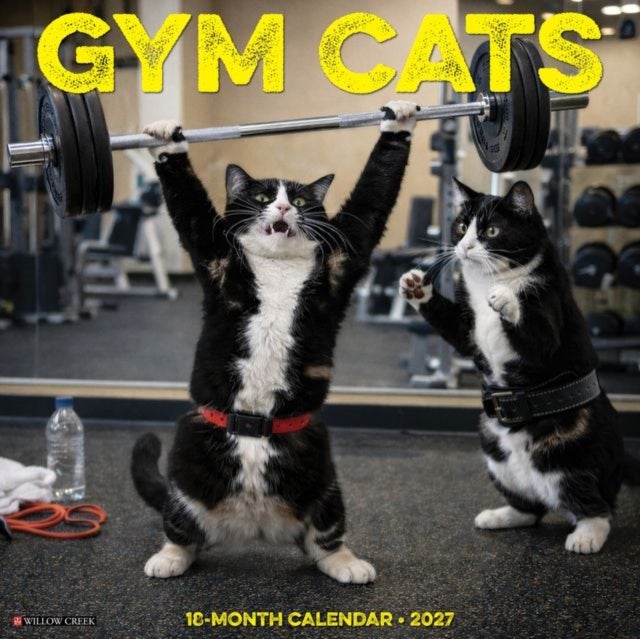 Gym Cats 2027 Wall