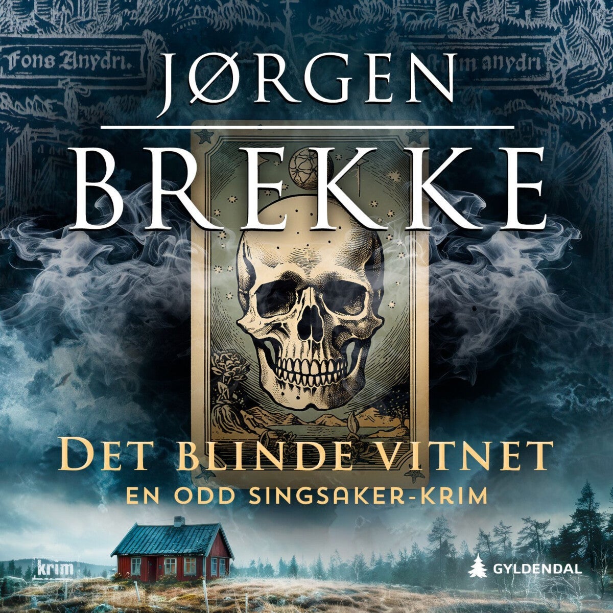 Det blinde vitnet