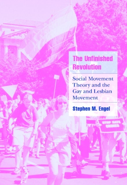 The Unfinished Revolution - Social Movement Theory and the Gay and Lesbian Movement