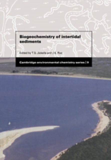 Biogeochemistry of Intertidal Sediments
