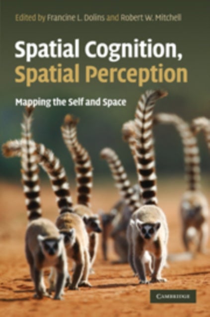 Spatial Cognition, Spatial Perception - Mapping the Self and Space
