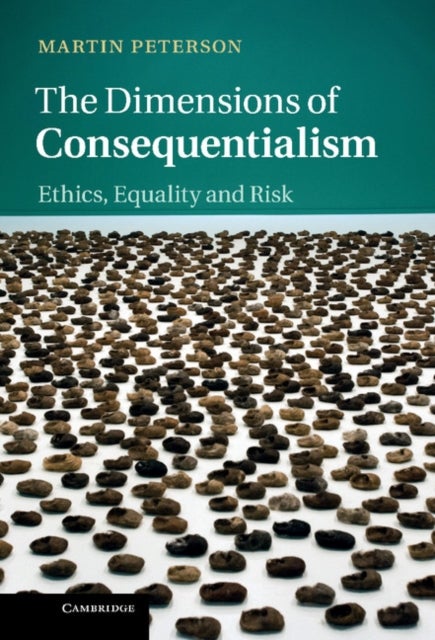 The Dimensions of Consequentialism - Ethics, Equality and Risk