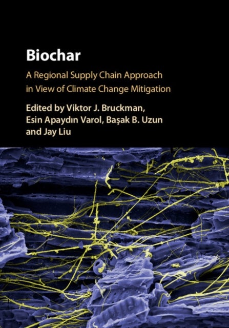 Biochar - A Regional Supply Chain Approach in View of Climate Change Mitigation