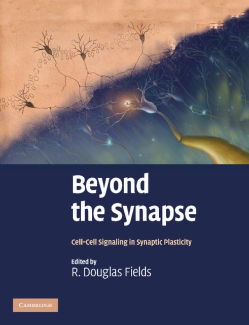 Beyond the Synapse - Cell-Cell Signaling in Synaptic Plasticity