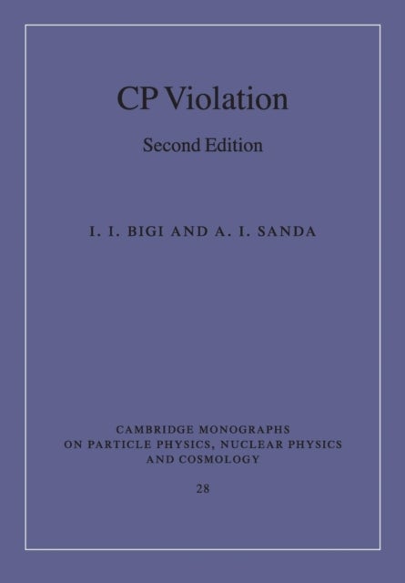 CP Violation