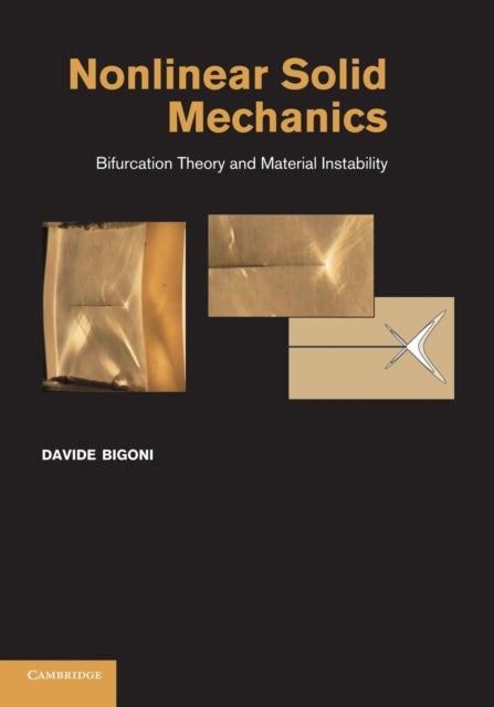 Nonlinear Solid Mechanics - Bifurcation Theory and Material Instability