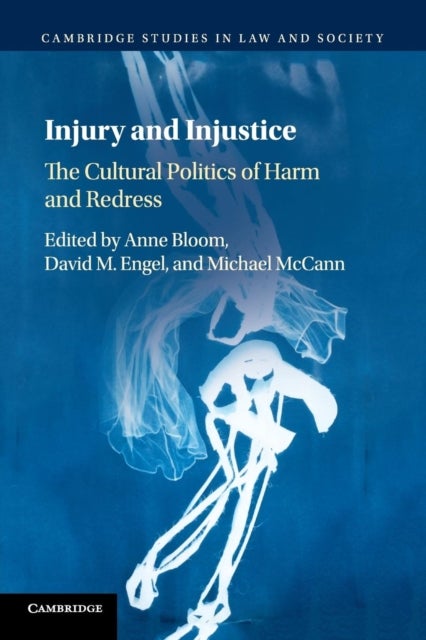 Injury and Injustice - The Cultural Politics of Harm and Redress