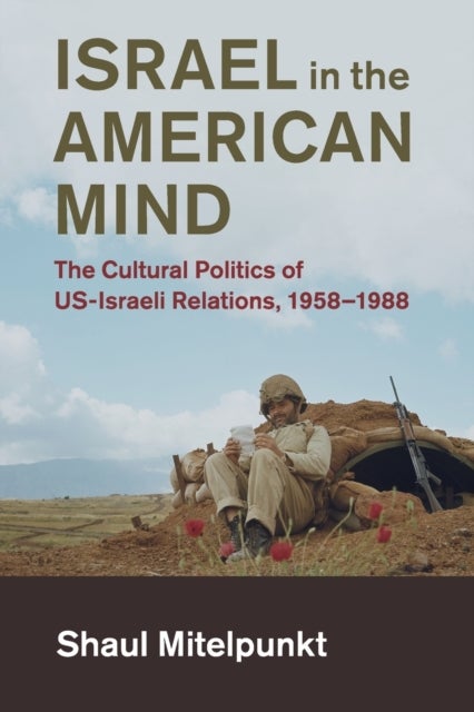 Israel in the American Mind - The Cultural Politics of US-Israeli Relations, 1958–1988