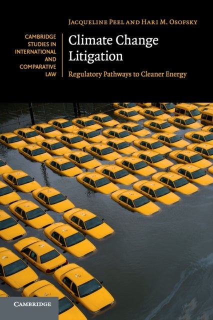 Climate Change Litigation - Regulatory Pathways to Cleaner Energy