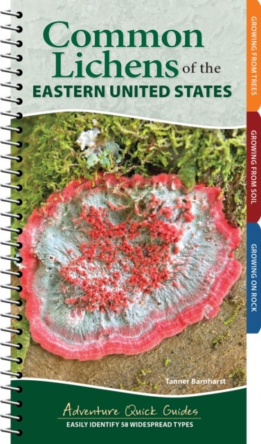 Common Lichens of the Eastern United States - Easily Identify 58 Widespread Types