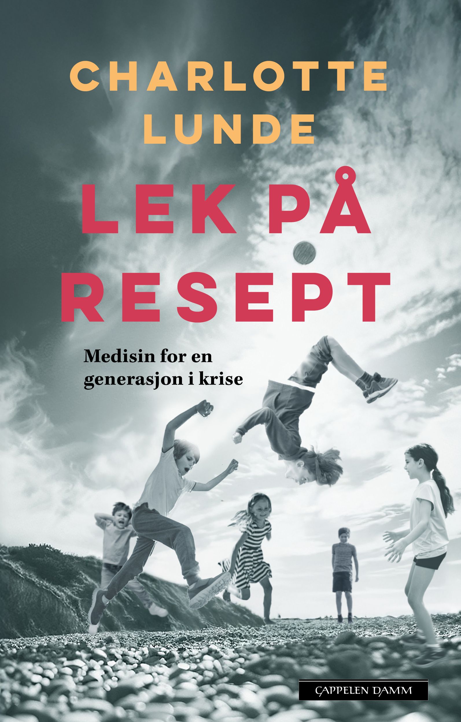 Lek på resept - medisin for en generasjon i krise