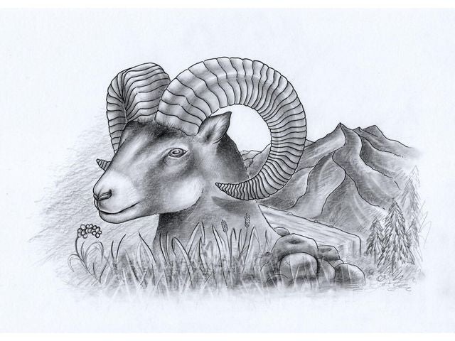 Tegnesett Staedtler sketching (12)