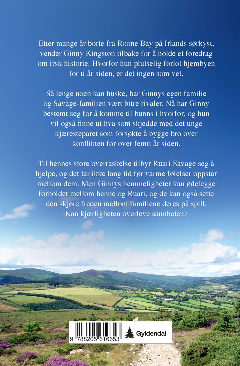Den irske hemmeligheten