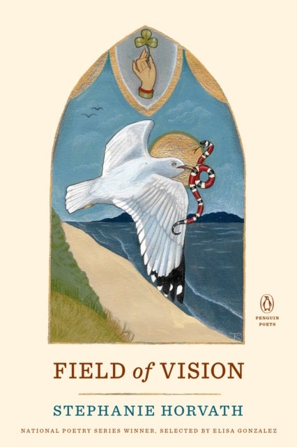 Field of Vision