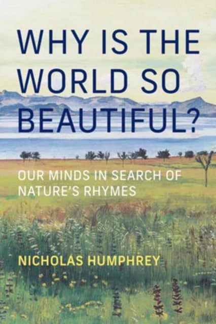 Why Is the World So Beautiful? - Our Minds in Search of Nature's Rhymes
