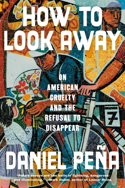How to Look Away - On American Cruelty and the Refusal to Disappear