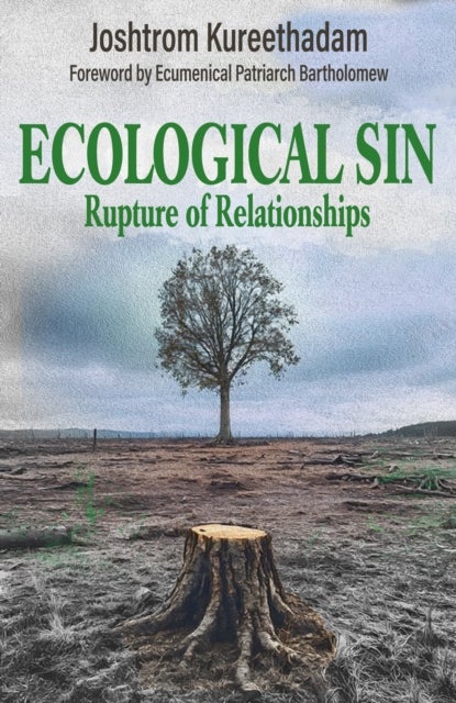 Ecological Sin: Rupture of Relationships
