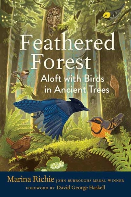 Feathered Forest - Aloft with Birds in Ancient Trees