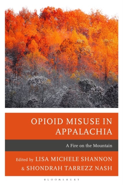 Opioid Misuse in Appalachia - A Fire on the Mountain