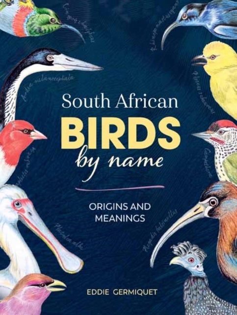 South African Birds by Name - Origins and Meanings