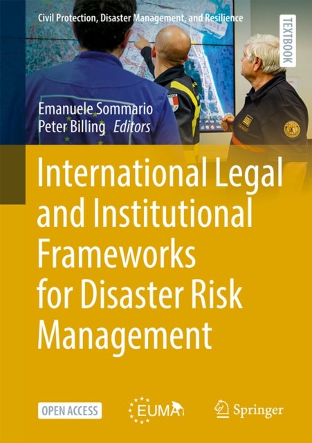 International Legal and Institutional Frameworks for Disaster Risk Management