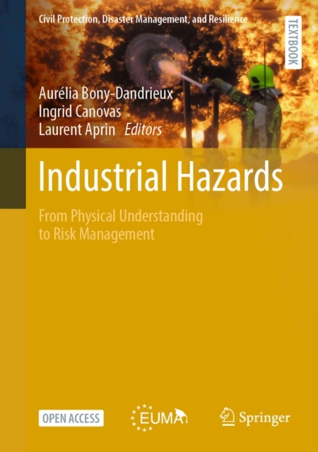Industrial Hazards - From Physical Understanding to Risk Management