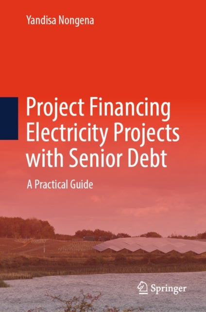 Project Financing Electricity Projects with Senior Debt - A Practical Guide