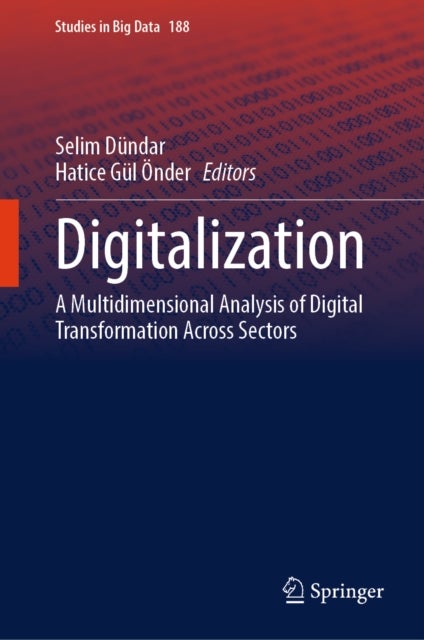 Digitalization - A Multidimensional Analysis of Digital Transformation Across Sectors