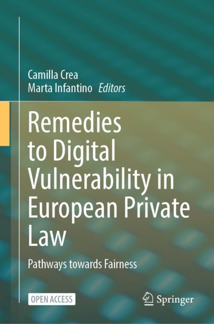 Remedies to Digital Vulnerability in European Private Law - Pathways towards Fairness