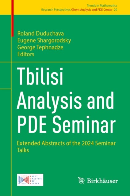 Tbilisi Analysis and PDE Seminar - Extended Abstracts of the 2024 Seminar Talks