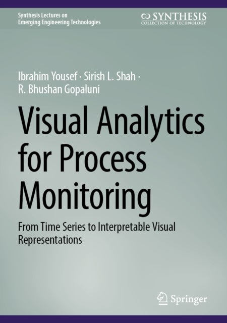 Visual Analytics for Process Monitoring - From Time Series to Interpretable Visual Representations