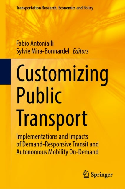 Customizing Public Transport - Implementations and Impacts of Demand-Responsive Transit and Autonomous Mobility On-Demand