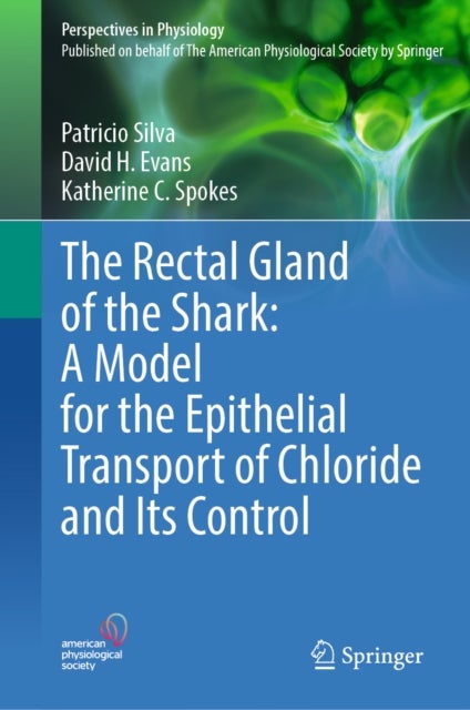 The Rectal Gland of the Shark: A Model for the Epithelial Transport of Chloride and Its Control