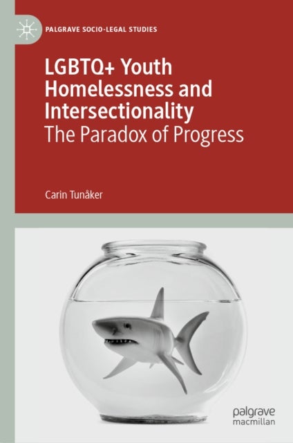 LGBTQ+ Youth Homelessness and Intersectionality - The Paradox of Progress