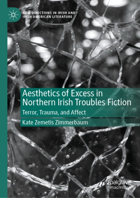Aesthetics of Excess in Northern Irish Troubles Fiction - Terror, Trauma, and Affect