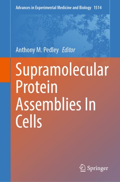 Supramolecular Protein Assemblies In Cells