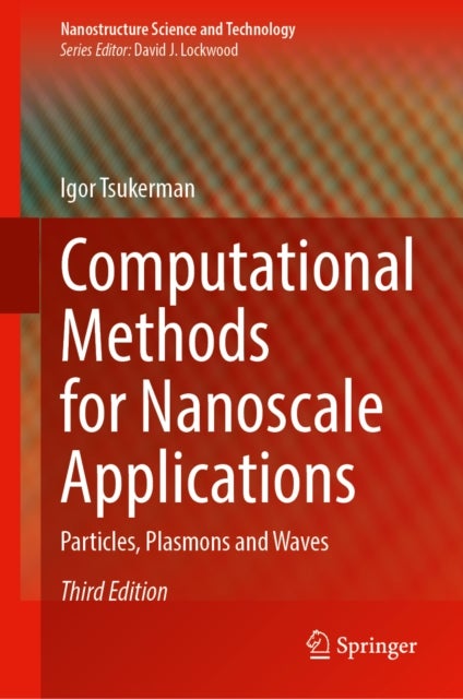 Computational Methods for Nanoscale Applications - Particles, Plasmons and Waves