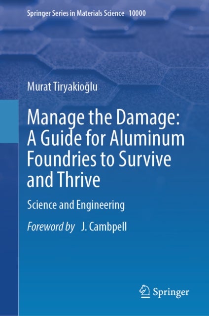 Manage the Damage: A Guide for Aluminum Foundries to Survive and Thrive - Science and Engineering