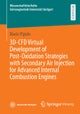 3D-CFD Virtual Development of Post-Oxidation Strategies with Secondary Air Injection for Advanced Internal Combustion Engines