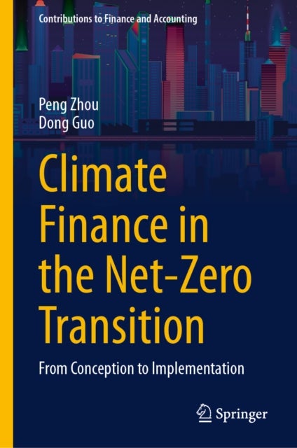Climate Finance in the Net-Zero Transition - From Conception to Implementation