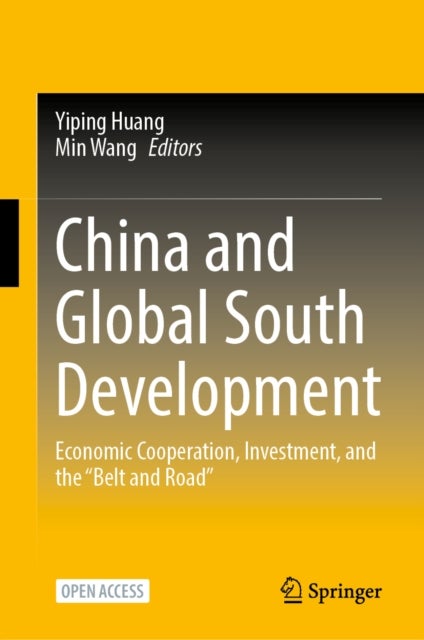 China and Global South Development - Economic Cooperation, Investment, and the “Belt and Road”