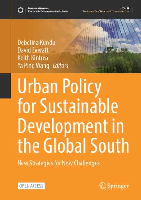 Urban Policy for Sustainable Development in the Global South - New Strategies for New Challenges