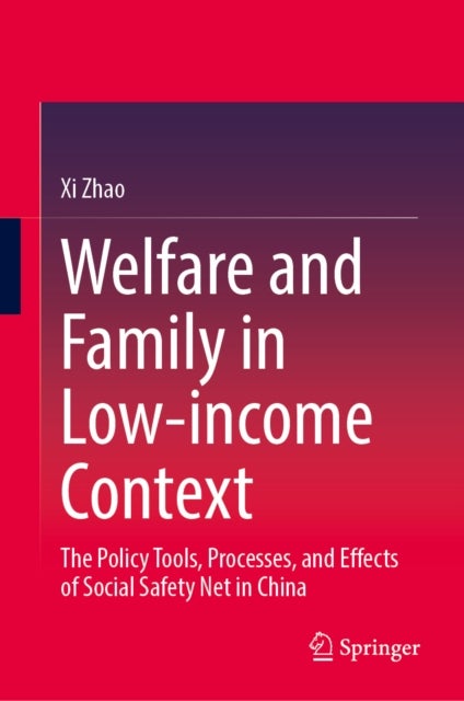 Welfare and Family in Low-income Context - The Policy Tools, Processes, and Effects of Social Safety Net in China