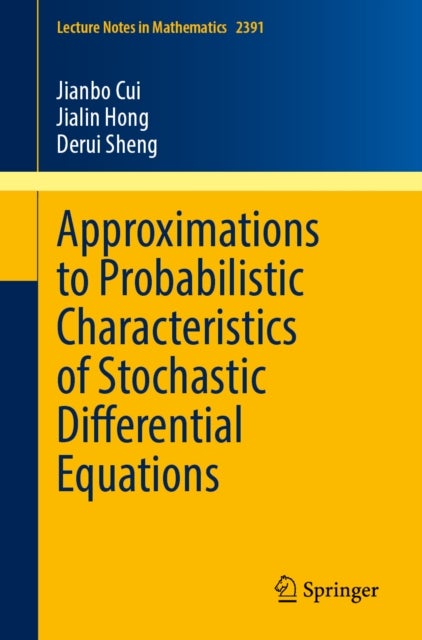 Approximations to Probabilistic Characteristics of Stochastic Differential Equations
