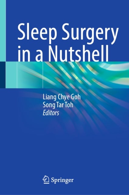 Sleep Surgery in a Nutshell