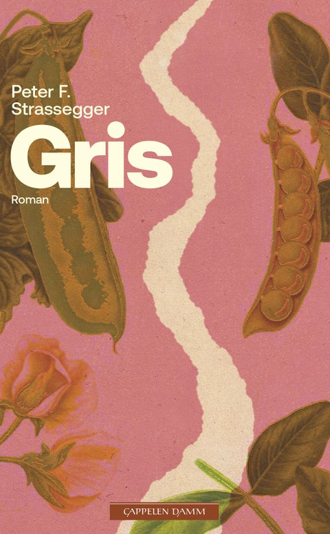 Gris - roman
