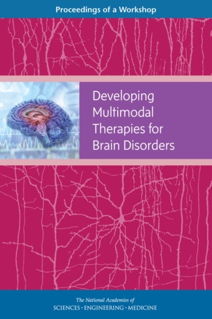 Developing Multimodal Therapies for Brain Disorders - Proceedings of a Workshop